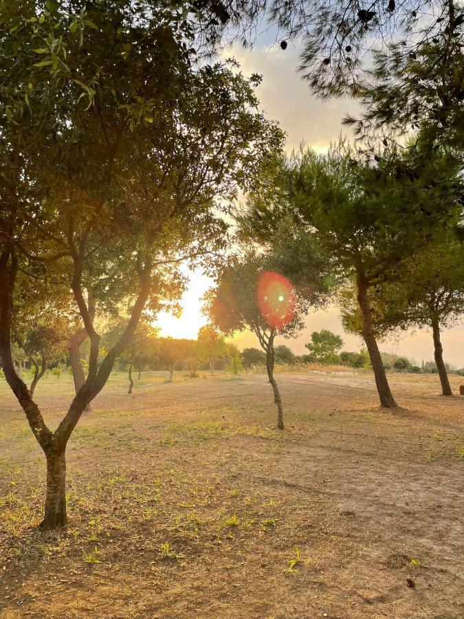 Agriturismo Tenuta Pozzello Torre dell'Orso Zewnętrze zdjęcie