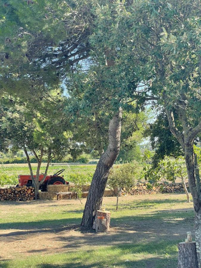 Agriturismo Tenuta Pozzello Torre dell'Orso Zewnętrze zdjęcie